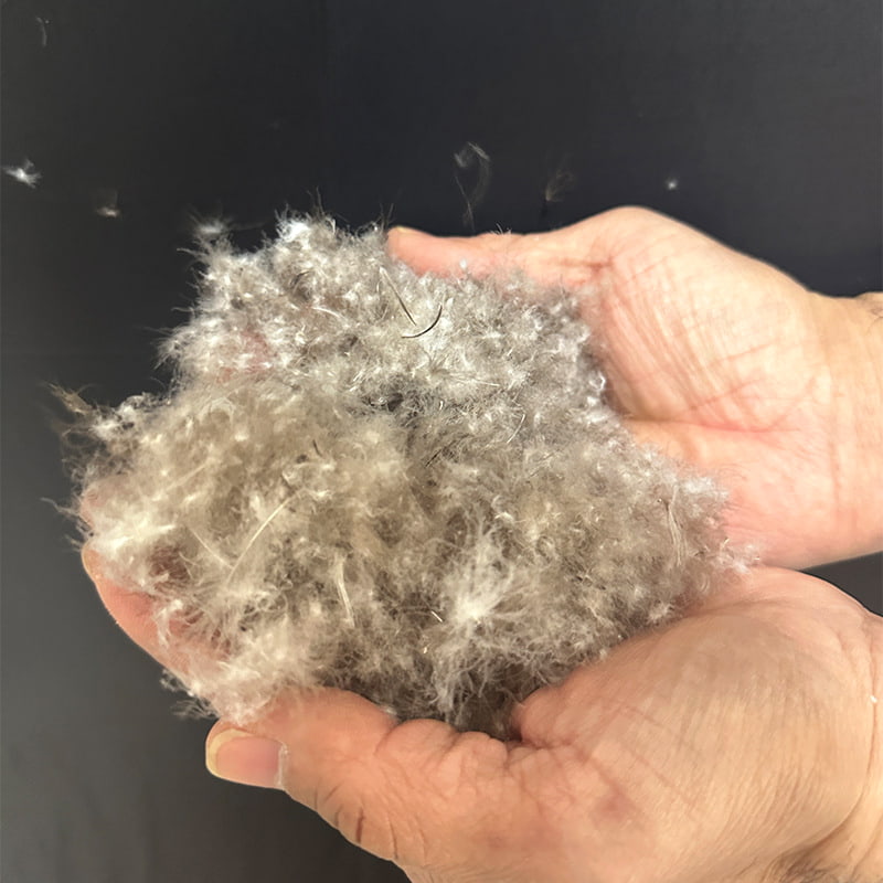 90% Gray Duck Down 90% Gray Duck Down