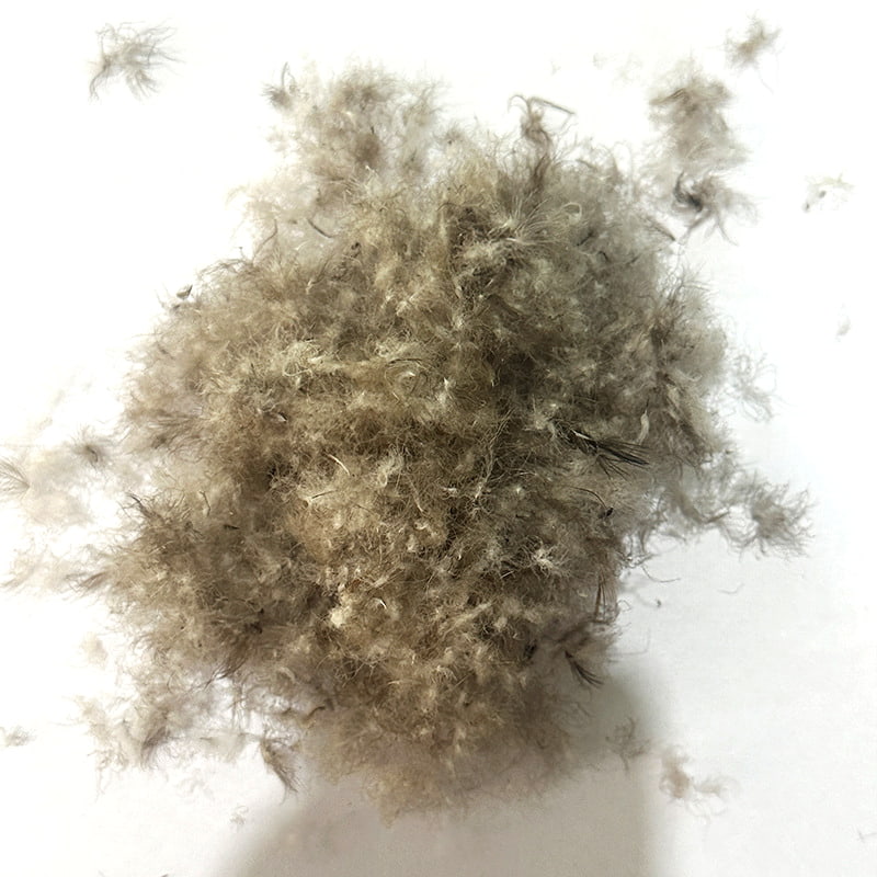 80% Gray Duck Down 80% Gray Duck Down