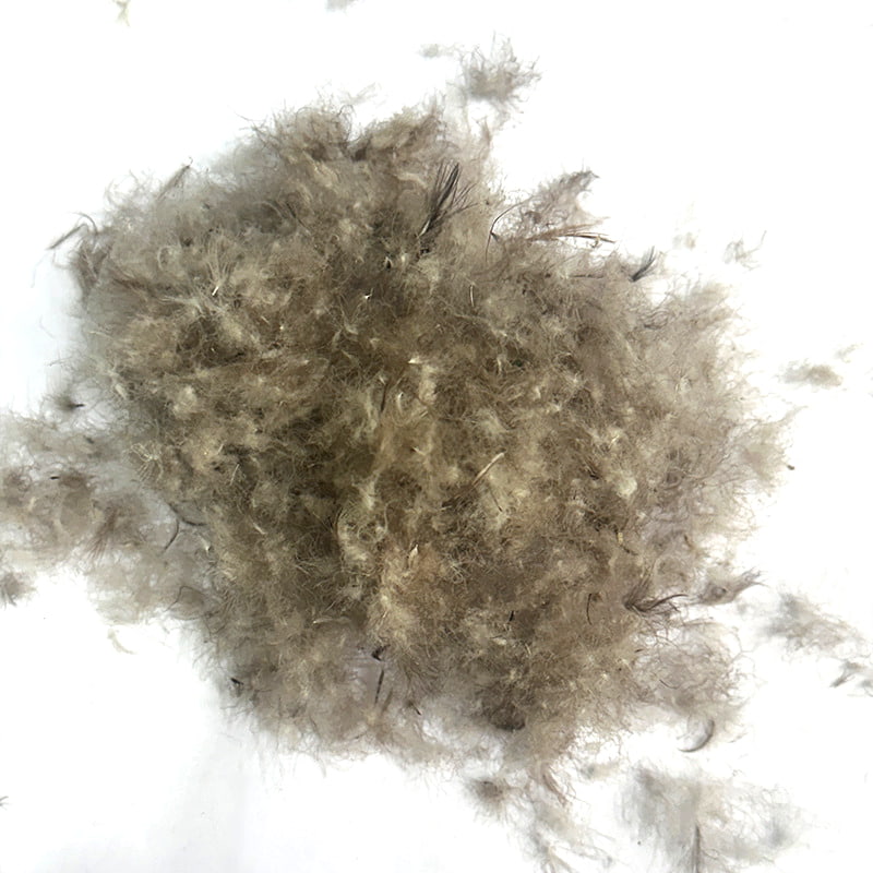 90% Gray Duck Down 90% Gray Duck Down