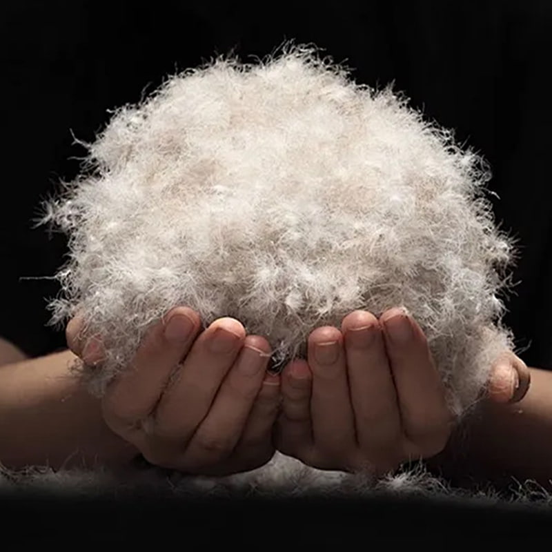 80% Gray Duck Down 80% Gray Duck Down