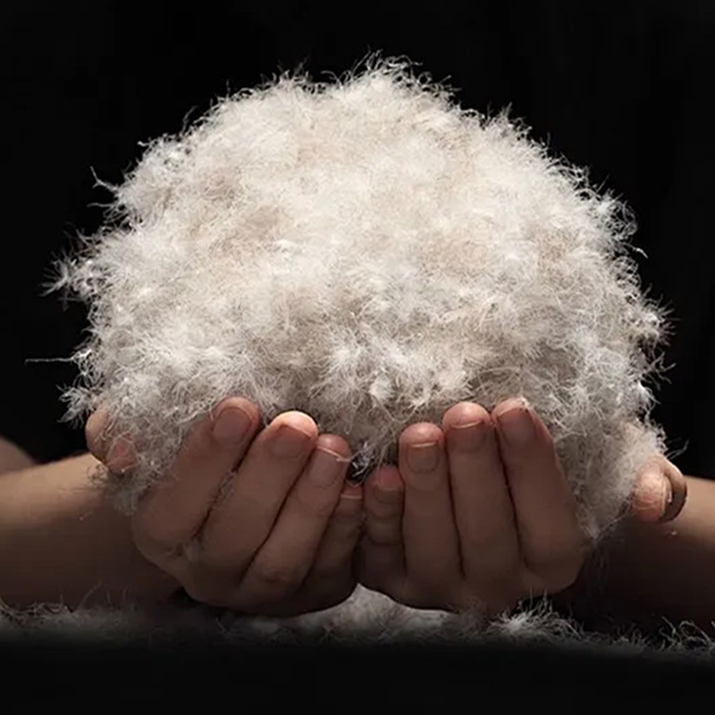 90% Gray Duck Down 90% Gray Duck Down