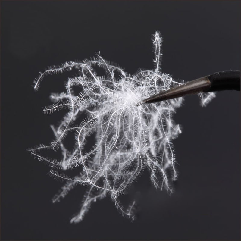 80% Purong Puting Duck Down 80% Purong Puting Duck Down