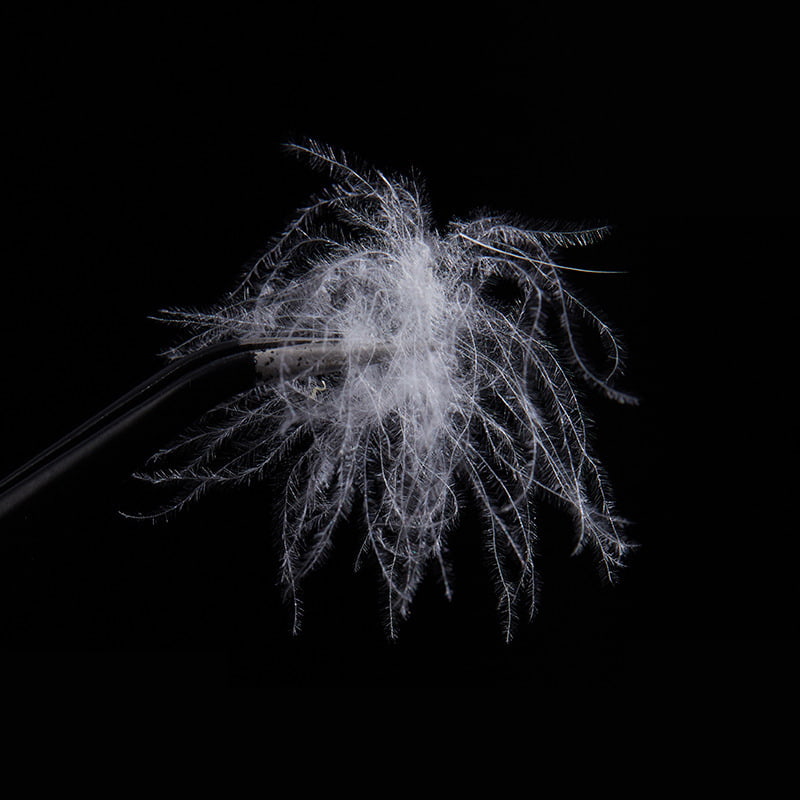 50% Purong Puting Duck Down 50% Purong Puting Duck Down